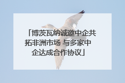 博茨瓦纳诚邀中企共拓非洲市场 与多家中企达成合作协议