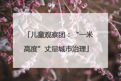 儿童观察团：“一米高度”丈量城市治理