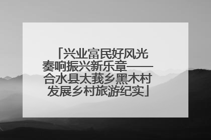 兴业富民好风光 奏响振兴新乐章——合水县太莪乡黑木村发展乡村旅游纪实