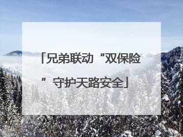 兄弟联动“双保险”守护天路安全