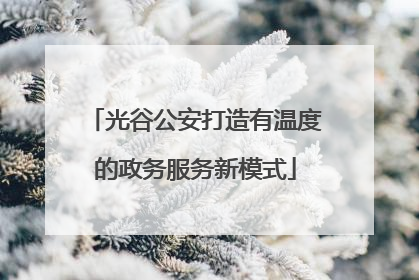 光谷公安打造有温度的政务服务新模式