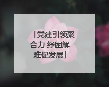 党建引领聚合力 纾困解难促发展