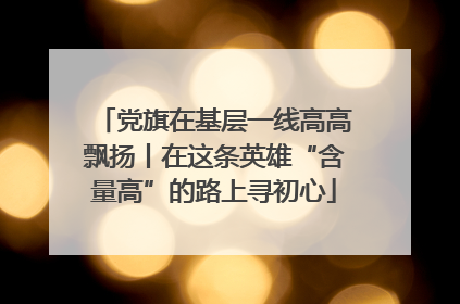 党旗在基层一线高高飘扬丨在这条英雄“含量高”的路上寻初心