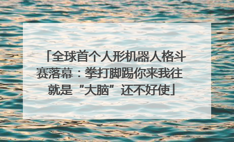 全球首个人形机器人格斗赛落幕：拳打脚踢你来我往 就是“大脑”还不好使