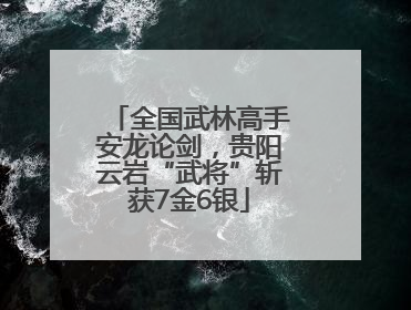 全国武林高手安龙论剑，贵阳云岩“武将”斩获7金6银