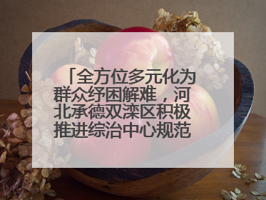 全方位多元化为群众纾困解难，河北承德双滦区积极推进综治中心规范化建设