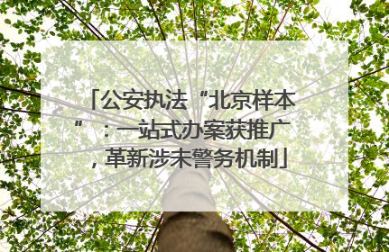 公安执法“北京样本”：一站式办案获推广，革新涉未警务机制