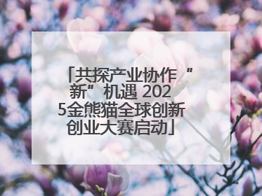 共探产业协作“新”机遇 2025金熊猫全球创新创业大赛启动