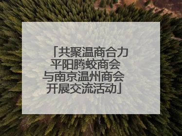共聚温商合力 平阳腾蛟商会与南京温州商会开展交流活动