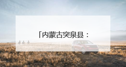 内蒙古突泉县：党建引领聚合力 以工代赈促增收