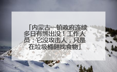 内蒙古一镇政府连续多日有熊出没！工作人员：它没攻击人，只是在垃圾桶翻找食物