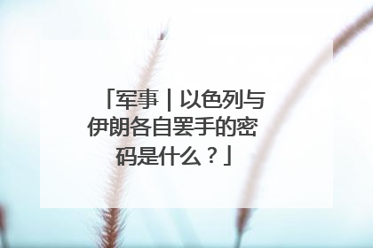 军事｜以色列与伊朗各自罢手的密码是什么？