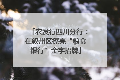 农发行四川分行：在叙州区擦亮“粮食银行”金字招牌