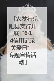 农发行岳阳县支行开展“6·14信用记录关爱日” 专题宣传活动