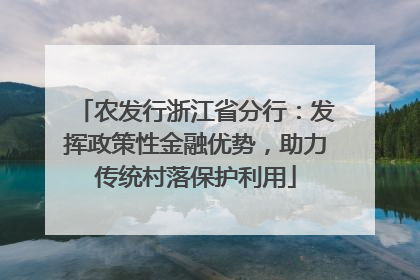 农发行浙江省分行：发挥政策性金融优势，助力传统村落保护利用