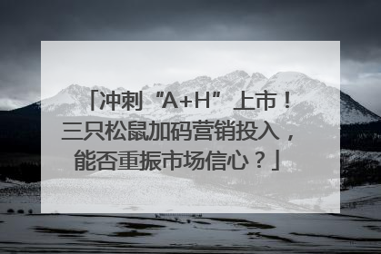 冲刺“A+H”上市！三只松鼠加码营销投入，能否重振市场信心？