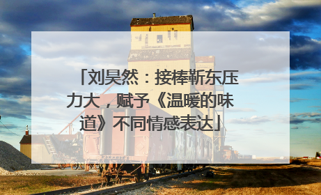 刘昊然：接棒靳东压力大，赋予《温暖的味道》不同情感表达