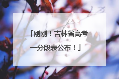 刚刚！吉林省高考一分段表公布！