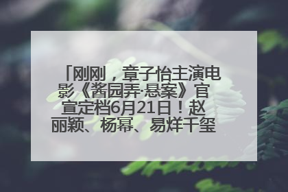 刚刚，章子怡主演电影《酱园弄·悬案》官宣定档6月21日！赵丽颖、杨幂、易烊千玺等角色海报曝光