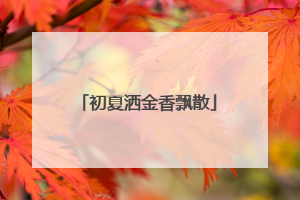 初夏洒金香飘散