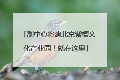 副中心将建北京紫檀文化产业园！就在这里