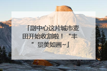 副中心这片城市麦田开始收割啦！“丰”景美如画~