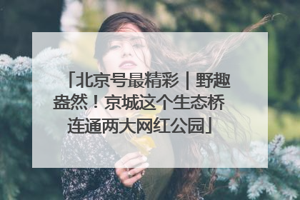 北京号最精彩｜野趣盎然！京城这个生态桥连通两大网红公园