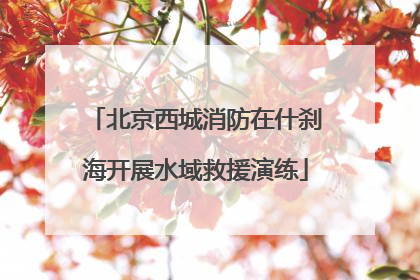 北京西城消防在什刹海开展水域救援演练