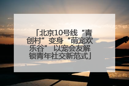 北京10号线“青创村”变身“萌宠欢乐谷” 以宠会友解锁青年社交新范式