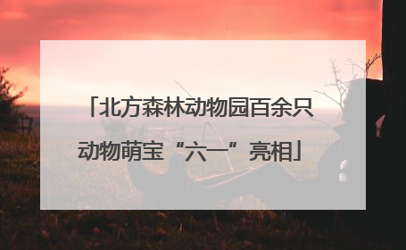 北方森林动物园百余只动物萌宝“六一”亮相
