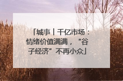 城事︱千亿市场：情绪价值满满，“谷子经济”不再小众