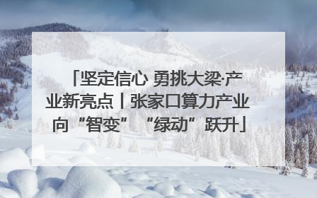 坚定信心 勇挑大梁·产业新亮点丨张家口算力产业向“智变”“绿动”跃升