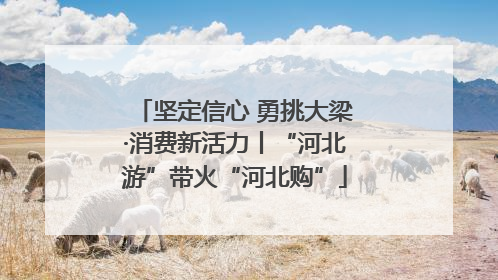 坚定信心 勇挑大梁·消费新活力丨“河北游”带火“河北购”