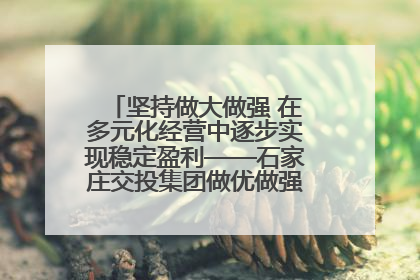 坚持做大做强 在多元化经营中逐步实现稳定盈利——石家庄交投集团做优做强典型报道之三