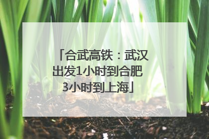 合武高铁：武汉出发1小时到合肥3小时到上海