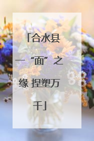 合水县 一“面”之缘 捏塑万千