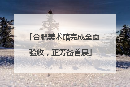 合肥美术馆完成全面验收，正筹备首展