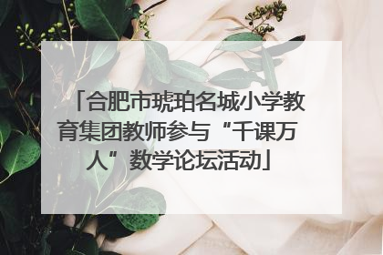 合肥市琥珀名城小学教育集团教师参与“千课万人”数学论坛活动