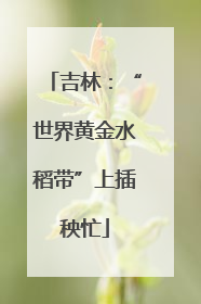 吉林：“世界黄金水稻带”上插秧忙