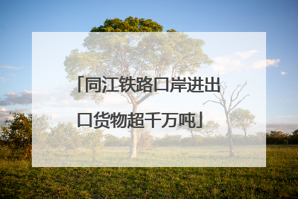 同江铁路口岸进出口货物超千万吨