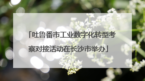 吐鲁番市工业数字化转型考察对接活动在长沙市举办