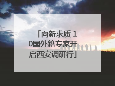 向新求质 10国外籍专家开启西安调研行