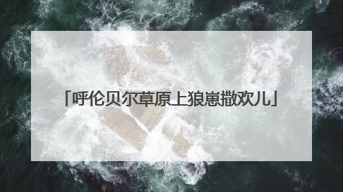 呼伦贝尔草原上狼崽撒欢儿