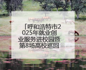 呼和浩特市2025年就业创业服务进校园暨第8场高校巡回招聘会举办