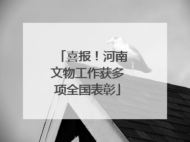 喜报！河南文物工作获多项全国表彰