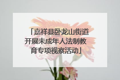 嘉祥县卧龙山街道开展未成年人法制教育专项视察活动