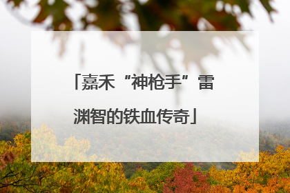嘉禾“神枪手”雷渊智的铁血传奇