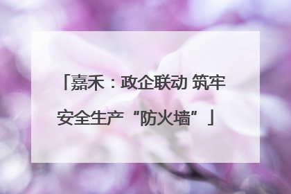 嘉禾：政企联动 筑牢安全生产“防火墙”