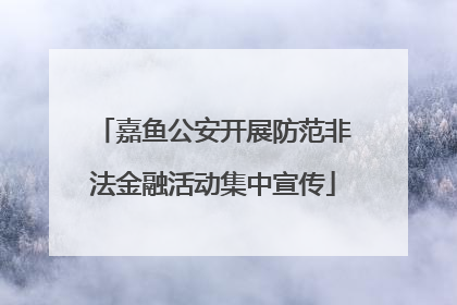 嘉鱼公安开展防范非法金融活动集中宣传