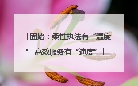 固始：柔性执法有“温度” 高效服务有“速度”